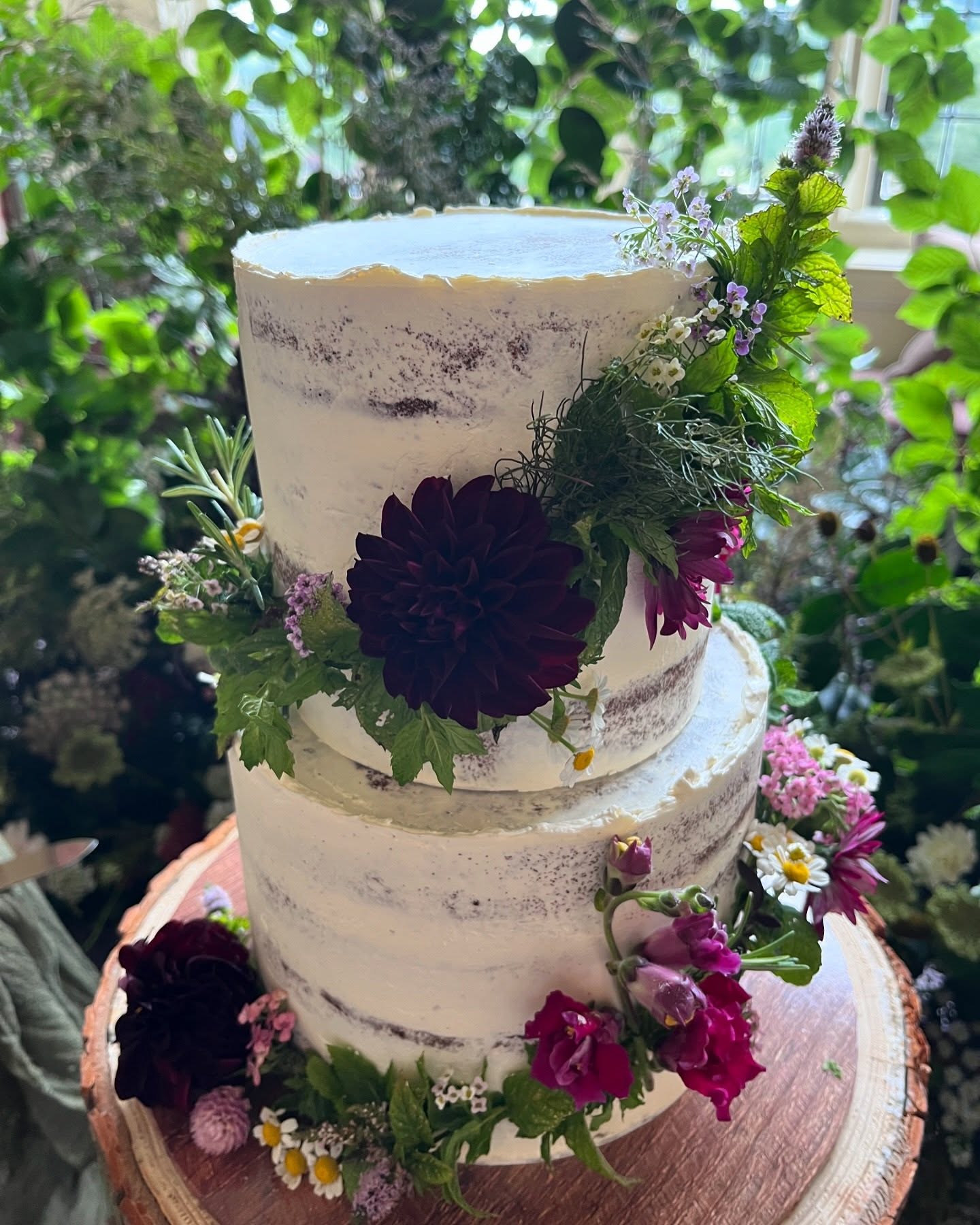 cake1
